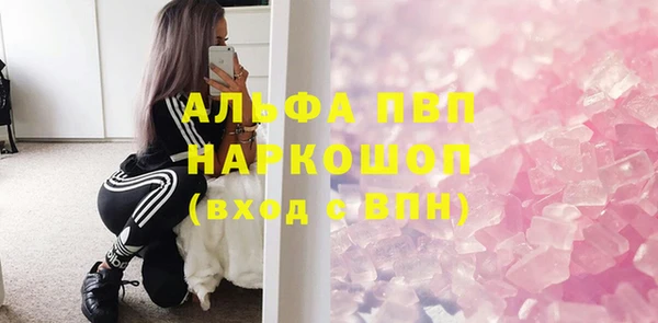 сатива Вязьма